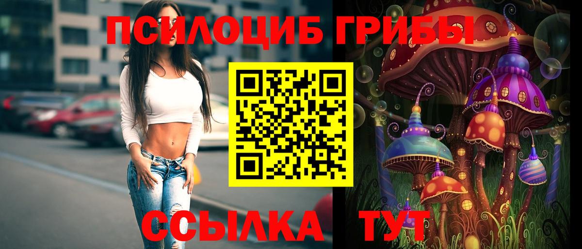 Псилоцибиновые грибы Cubensis Норильск